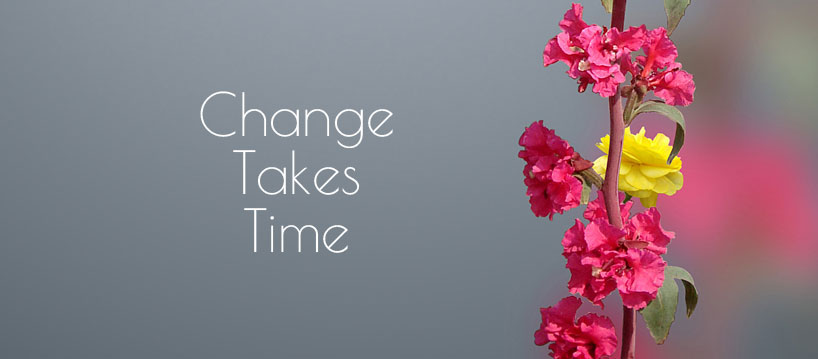 Change Takes Time